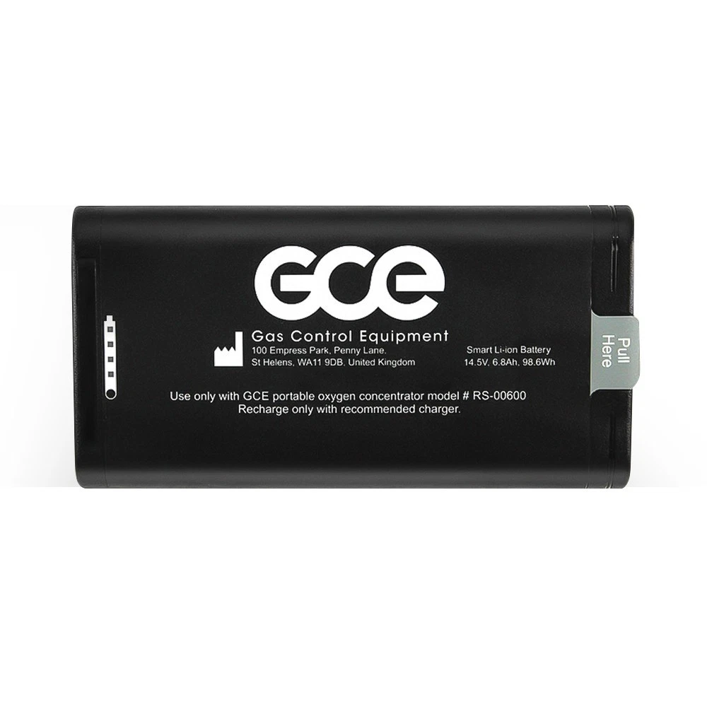 GCE RS-00601 Battery 4INR19/66-2